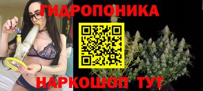 трава Ирбит