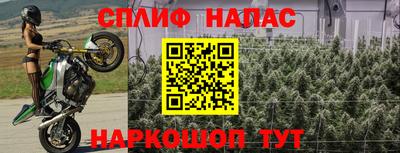 ГАЛЛЮЦИНОГЕННЫЕ ГРИБЫ Изобильный