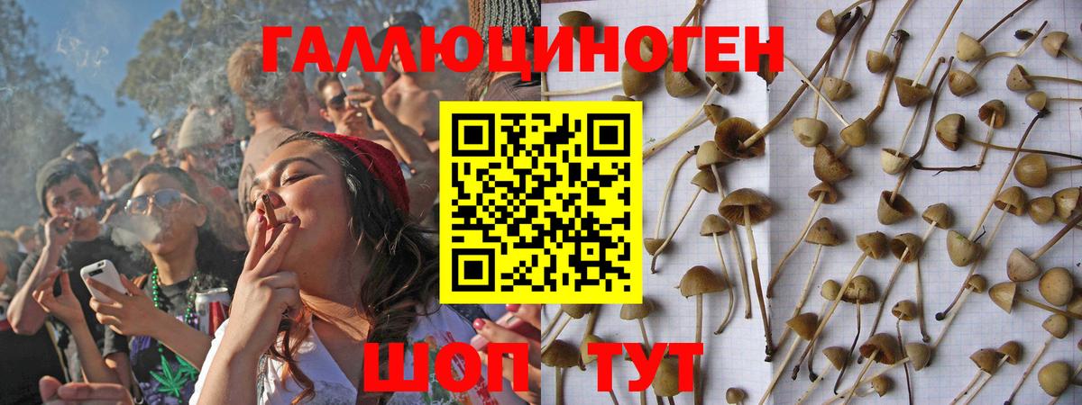наркота  Псилоцибиновые грибы Psilocybe  Вход с VPN  Бутурлиновка 